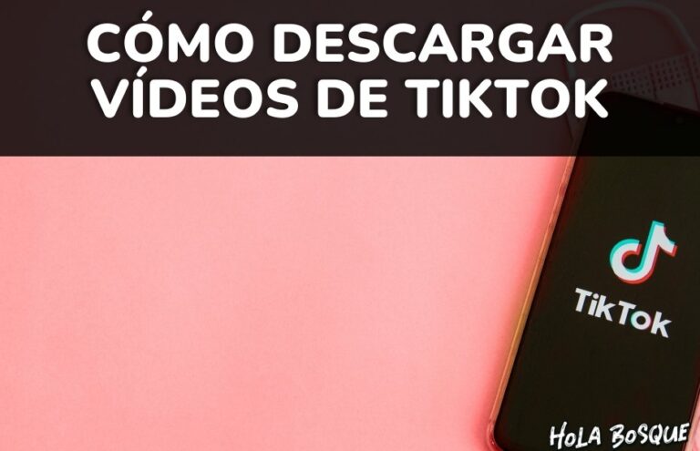 como-descargar-videos-tik-tok
